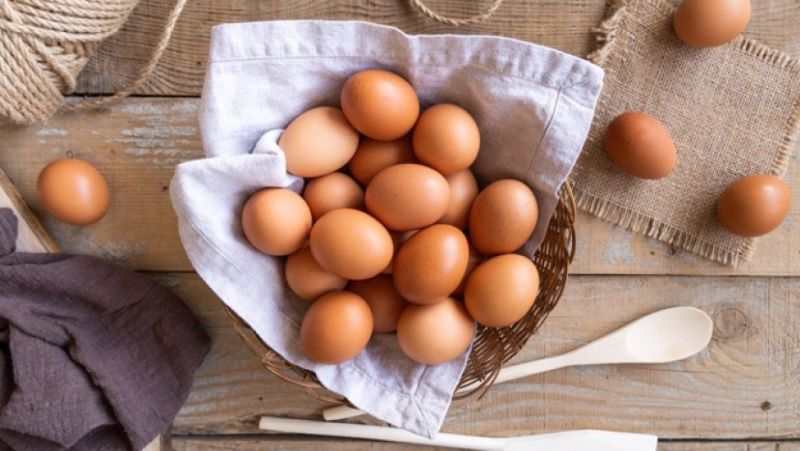 Cấu tạo trứng gà có gì? Đặc điểm chi tiết bên trong trứng gà 1